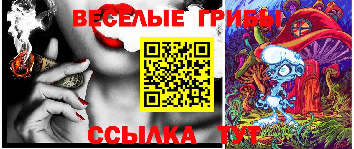 Псилоцибиновые грибы Magic Shrooms Тамбов