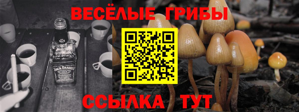 Псилоцибиновые грибы Psilocybine cubensis  Вход с VPN  Тамбов 