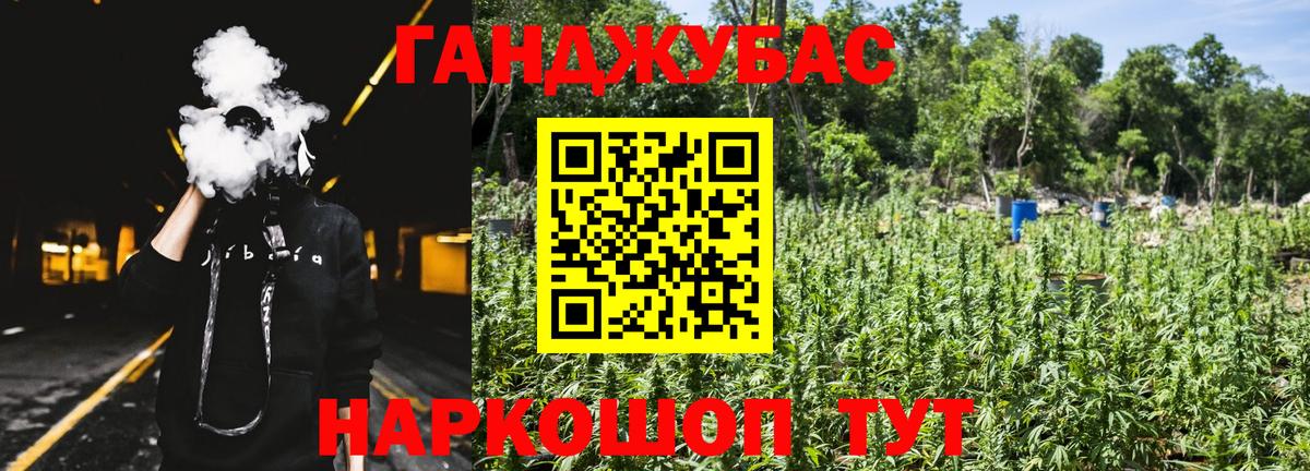 Шишки марихуана семена  Бошки марихуана план  Тамбов  Каннабис Bruce Banner  Вход с VPN 